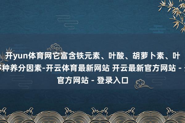 开yun体育网它富含铁元素、叶酸、胡萝卜素、叶黄素等多种养分因素-开云体育最新网站 开云最新官方网站 - 登录入口