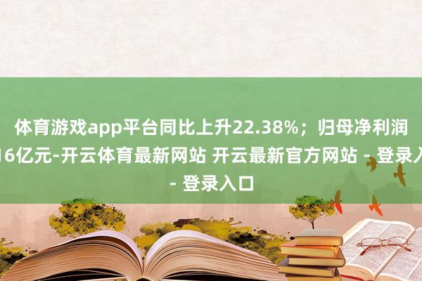 体育游戏app平台同比上升22.38%；归母净利润4.16亿元-开云体育最新网站 开云最新官方网站 - 登录入口
