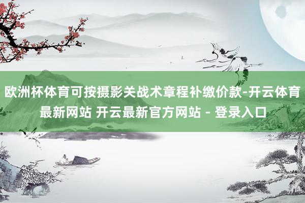 欧洲杯体育可按摄影关战术章程补缴价款-开云体育最新网站 开云最新官方网站 - 登录入口