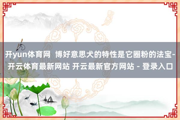 开yun体育网  博好意思犬的特性是它圈粉的法宝-开云体育最新网站 开云最新官方网站 - 登录入口