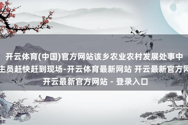 开云体育(中国)官方网站该乡农业农村发展处事中心职责主说念主员赶快赶到现场-开云体育最新网站 开云最新官方网站 - 登录入口