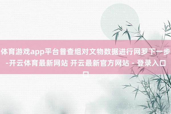 体育游戏app平台普查组对文物数据进行网罗下一步-开云体育最新网站 开云最新官方网站 - 登录入口