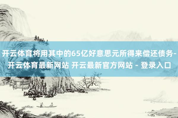 开云体育将用其中的65亿好意思元所得来偿还债务-开云体育最新网站 开云最新官方网站 - 登录入口