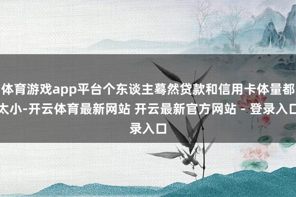体育游戏app平台个东谈主蓦然贷款和信用卡体量都太小-开云体育最新网站 开云最新官方网站 - 登录入口