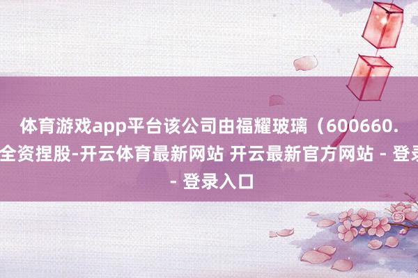 体育游戏app平台该公司由福耀玻璃（600660.SH）全资捏股-开云体育最新网站 开云最新官方网站 - 登录入口